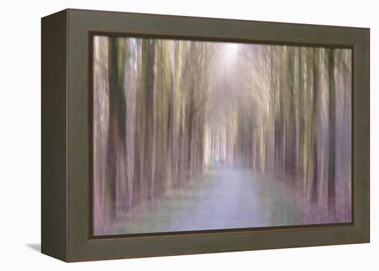 Under an Amethyst Sun-Jacob Berghoef-Framed Premier Image Canvas