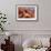 Under An Arch-Donald Paulson-Framed Giclee Print displayed on a wall