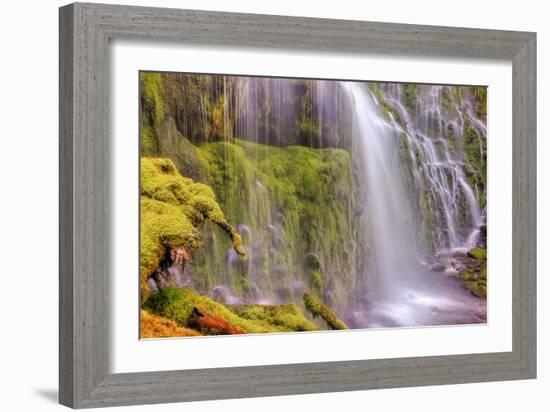 Under Lower Proxy Falls-Vincent James-Framed Photographic Print