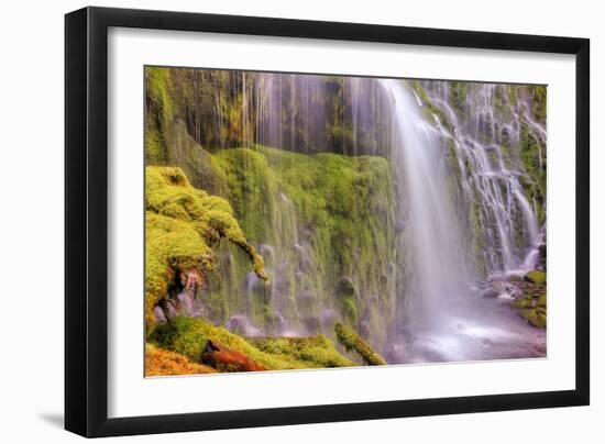 Under Lower Proxy Falls-Vincent James-Framed Photographic Print