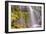 Under Lower Proxy Falls-Vincent James-Framed Photographic Print