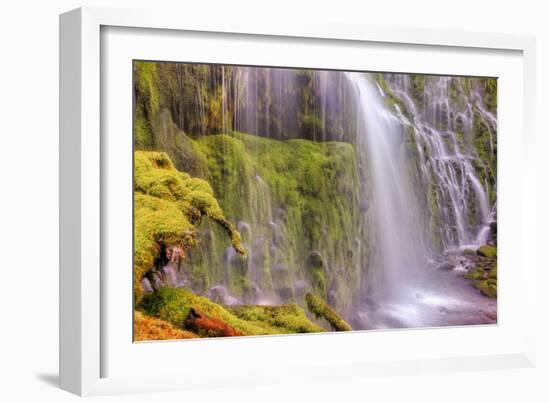 Under Lower Proxy Falls-Vincent James-Framed Photographic Print