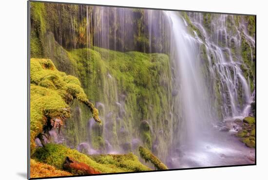 Under Lower Proxy Falls-Vincent James-Mounted Photographic Print