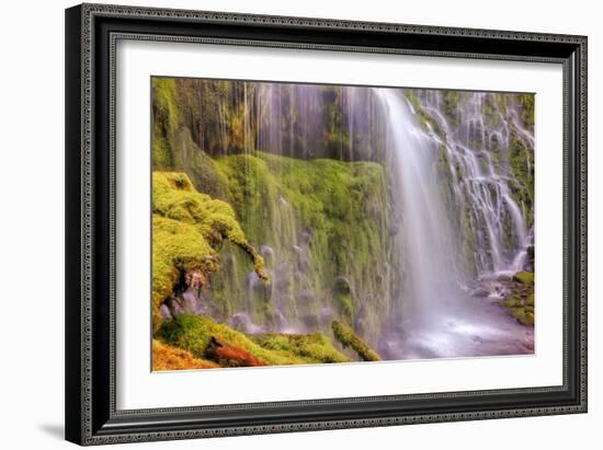 Under Lower Proxy Falls-Vincent James-Framed Photographic Print