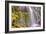 Under Lower Proxy Falls-Vincent James-Framed Photographic Print