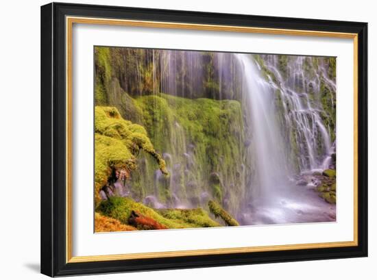 Under Lower Proxy Falls-Vincent James-Framed Photographic Print