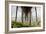 Under Oceanside Pier-Lee Peterson-Framed Photo