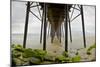 Under Oceanside Pier-Lee Peterson-Mounted Photo