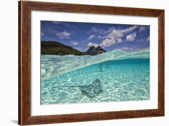 Under Over Underwater Shot Of A Stingray On White Sand, With Tourists Legs In The Bkgd Bora Bora-Karine Aigner-Framed Photographic Print