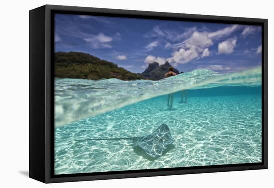 Under Over Underwater Shot Of A Stingray On White Sand, With Tourists Legs In The Bkgd Bora Bora-Karine Aigner-Framed Premier Image Canvas