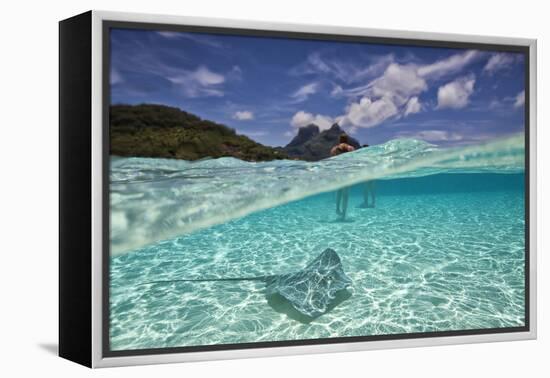 Under Over Underwater Shot Of A Stingray On White Sand, With Tourists Legs In The Bkgd Bora Bora-Karine Aigner-Framed Premier Image Canvas