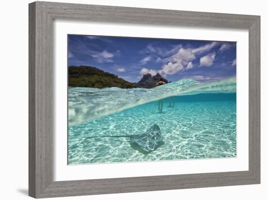 Under Over Underwater Shot Of A Stingray On White Sand, With Tourists Legs In The Bkgd Bora Bora-Karine Aigner-Framed Photographic Print