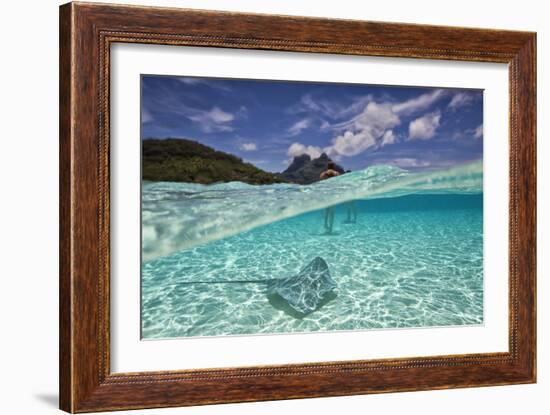 Under Over Underwater Shot Of A Stingray On White Sand, With Tourists Legs In The Bkgd Bora Bora-Karine Aigner-Framed Photographic Print