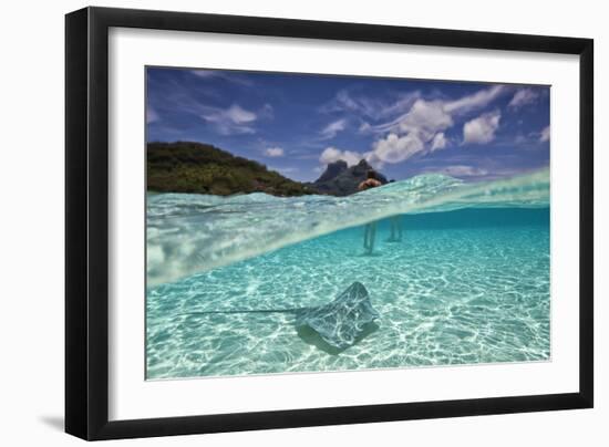 Under Over Underwater Shot Of A Stingray On White Sand, With Tourists Legs In The Bkgd Bora Bora-Karine Aigner-Framed Photographic Print