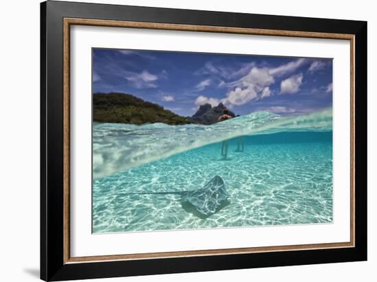 Under Over Underwater Shot Of A Stingray On White Sand, With Tourists Legs In The Bkgd Bora Bora-Karine Aigner-Framed Photographic Print
