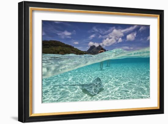 Under Over Underwater Shot Of A Stingray On White Sand, With Tourists Legs In The Bkgd Bora Bora-Karine Aigner-Framed Photographic Print