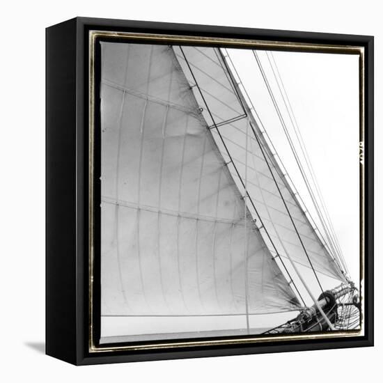 Under Sail I-Laura Denardo-Framed Premier Image Canvas