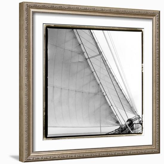 Under Sail I-Laura Denardo-Framed Photographic Print