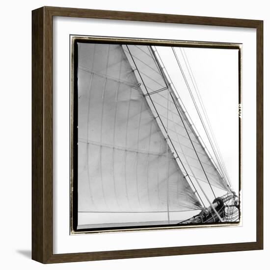 Under Sail I-Laura Denardo-Framed Photographic Print