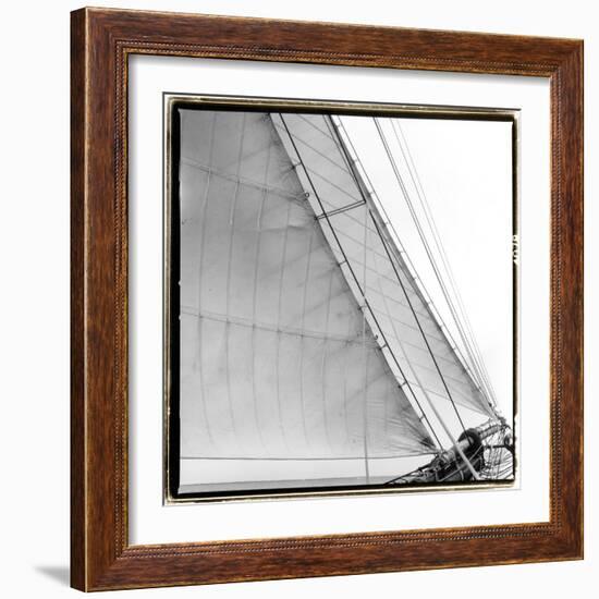 Under Sail I-Laura Denardo-Framed Photographic Print