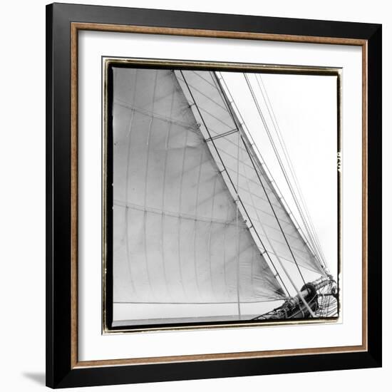 Under Sail I-Laura Denardo-Framed Photographic Print