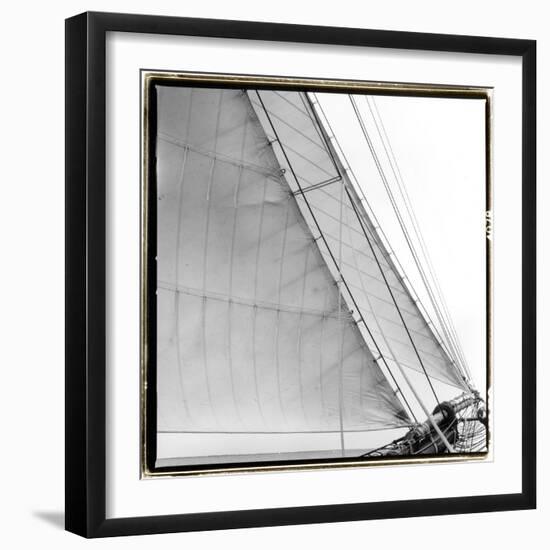 Under Sail I-Laura Denardo-Framed Photographic Print