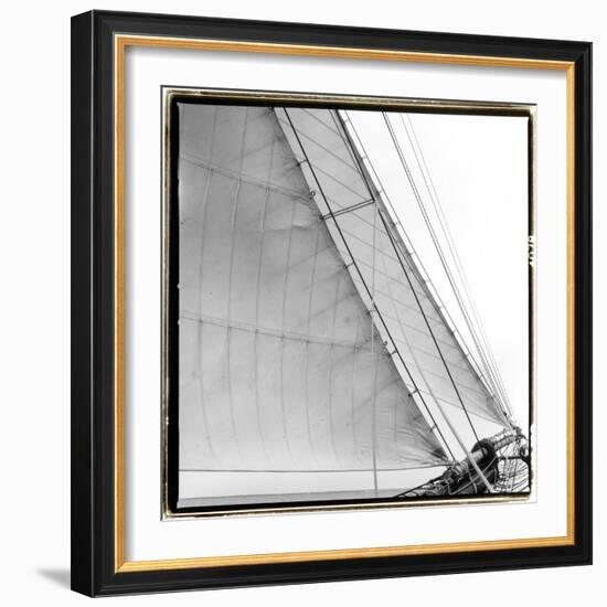 Under Sail I-Laura Denardo-Framed Photographic Print