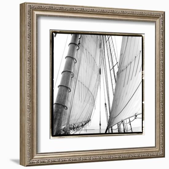 Under Sail II-Laura Denardo-Framed Art Print