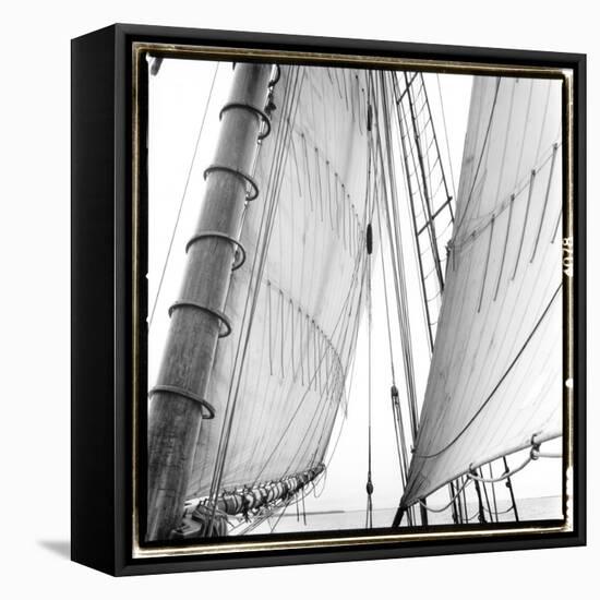 Under Sail II-Laura Denardo-Framed Stretched Canvas