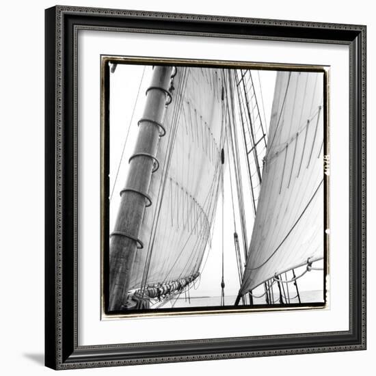 Under Sail II-Laura Denardo-Framed Art Print