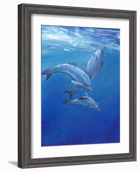 Under Sea Dolphins-Tim O'toole-Framed Art Print