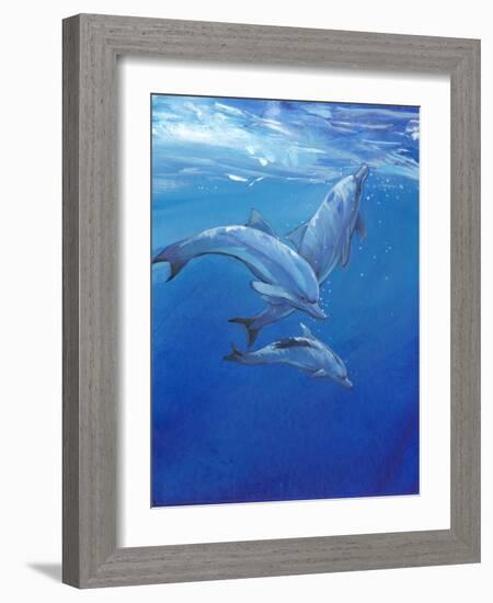 Under Sea Dolphins-Tim O'toole-Framed Art Print