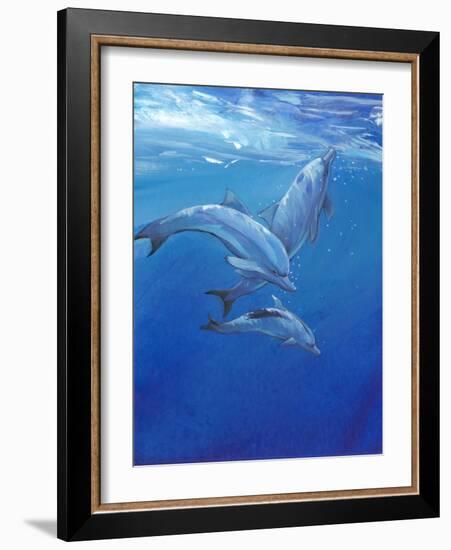 Under Sea Dolphins-Tim O'toole-Framed Art Print