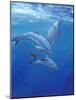 Under Sea Dolphins-Tim O'toole-Mounted Art Print