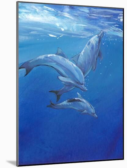 Under Sea Dolphins-Tim O'toole-Mounted Art Print