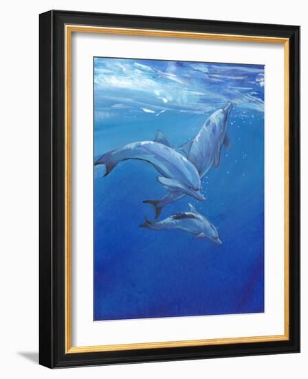 Under Sea Dolphins-Tim O'toole-Framed Art Print