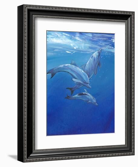 Under Sea Dolphins-Tim O'toole-Framed Premium Giclee Print
