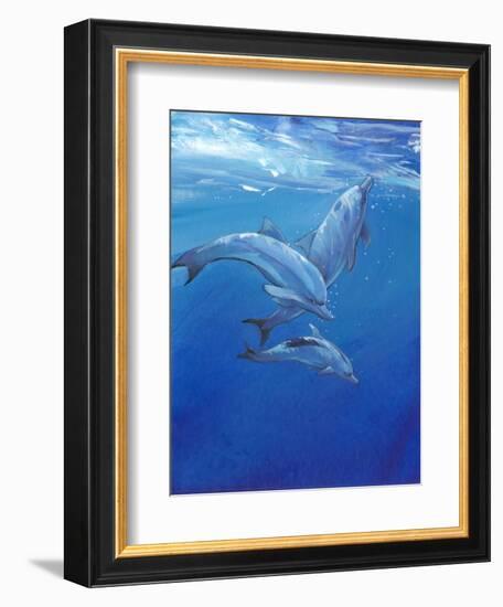 Under Sea Dolphins-Tim O'toole-Framed Premium Giclee Print