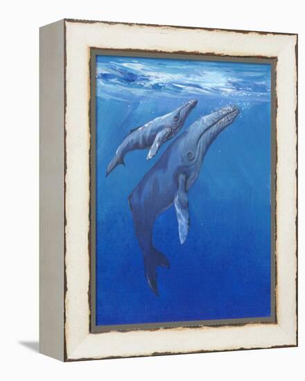 Under Sea Whales I-Tim O'toole-Framed Stretched Canvas