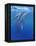 Under Sea Whales I-Tim O'toole-Framed Stretched Canvas