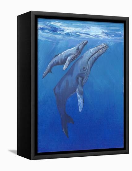 Under Sea Whales I-Tim O'toole-Framed Stretched Canvas