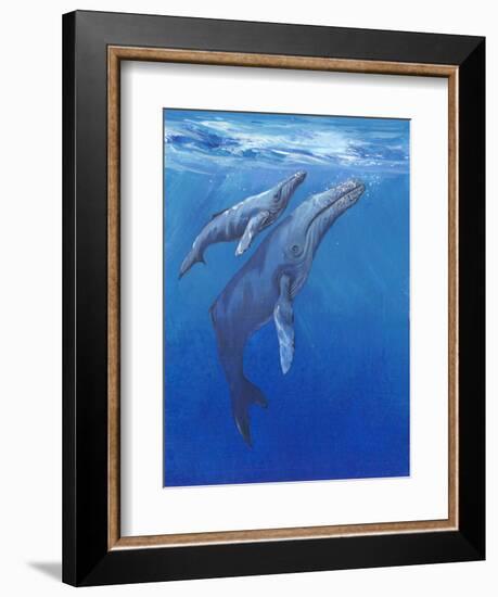 Under Sea Whales I-Tim O'toole-Framed Premium Giclee Print