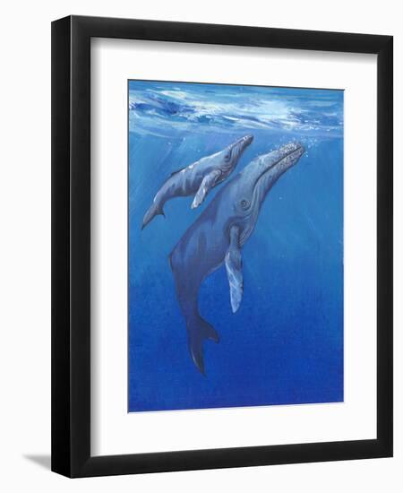 Under Sea Whales I-Tim O'toole-Framed Premium Giclee Print