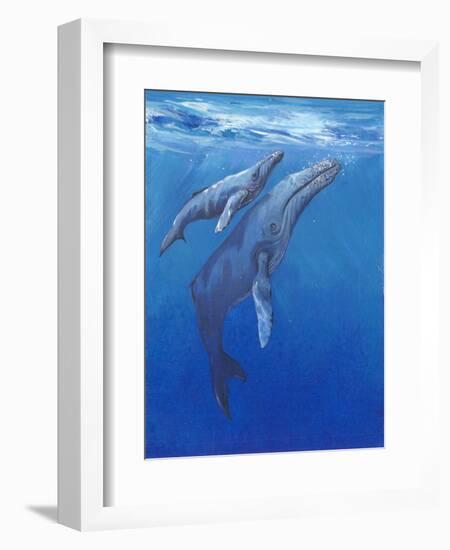 Under Sea Whales I-Tim O'toole-Framed Premium Giclee Print