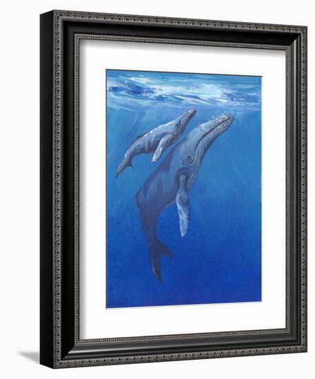 Under Sea Whales I-Tim O'toole-Framed Premium Giclee Print