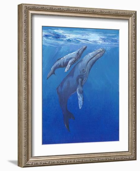 Under Sea Whales I-Tim O'toole-Framed Art Print