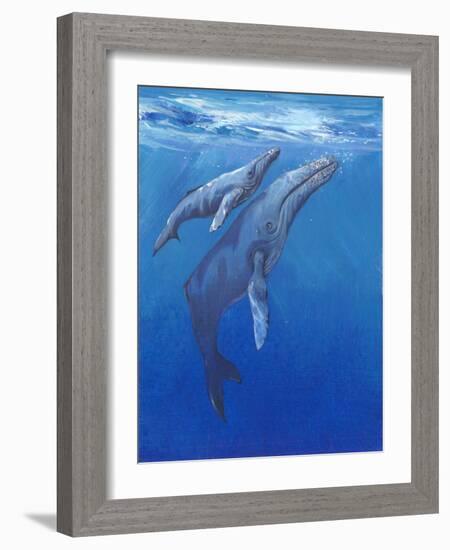 Under Sea Whales I-Tim O'toole-Framed Art Print