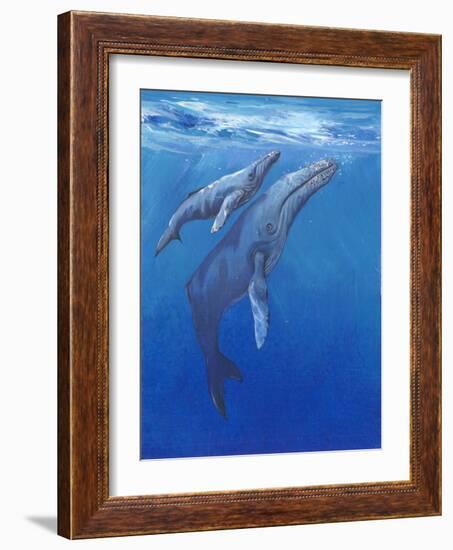 Under Sea Whales I-Tim O'toole-Framed Art Print