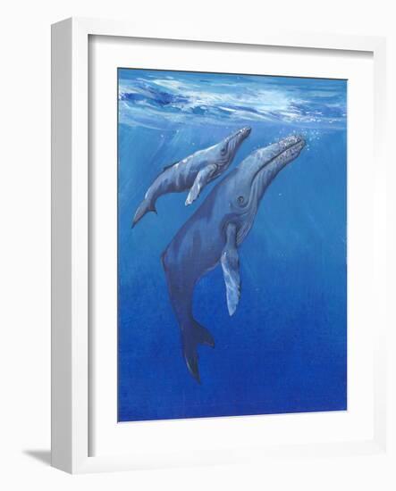 Under Sea Whales I-Tim O'toole-Framed Art Print