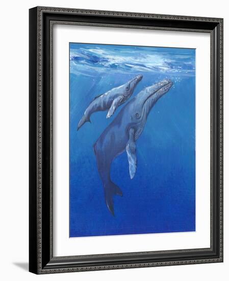 Under Sea Whales I-Tim O'toole-Framed Art Print